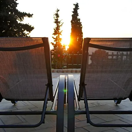 Hara's View לאסי